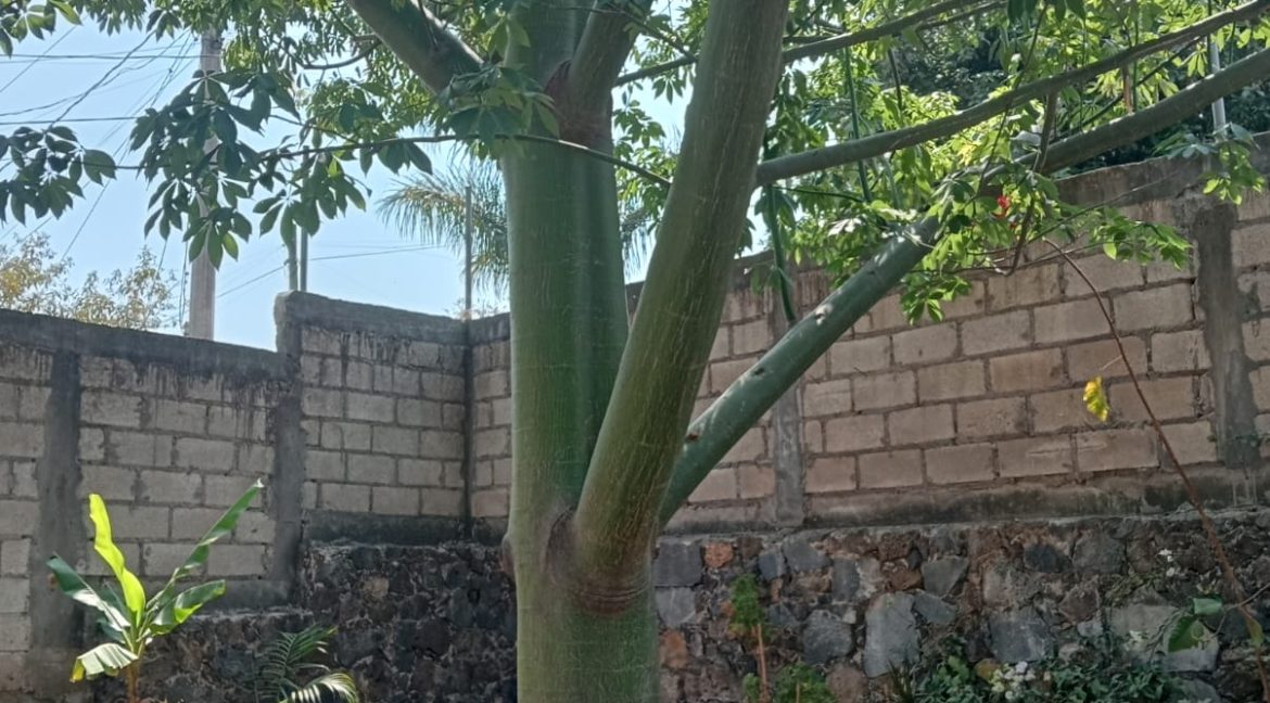 WhatsApp Image 2026-03-25 at 2.58.42 PM