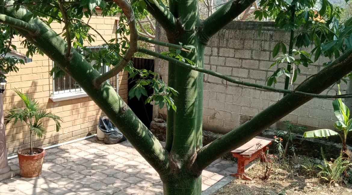 WhatsApp Image 2026-03-25 at 2.58.43 PM