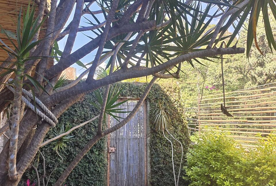 405647543_863846499078044_7102272457359326748_n