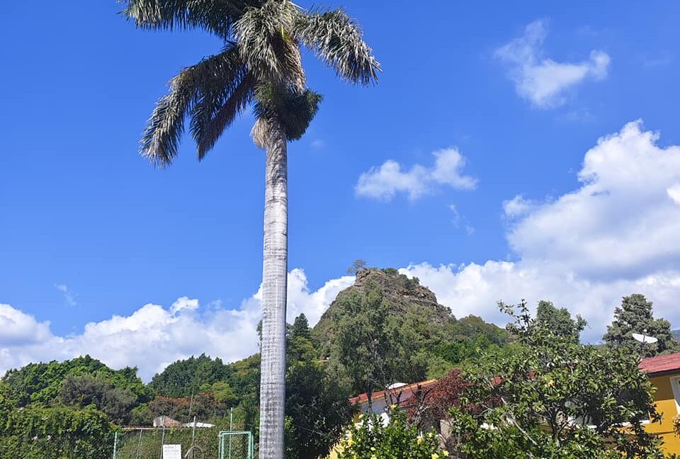 405651469_863846595744701_3558240317394476940_n