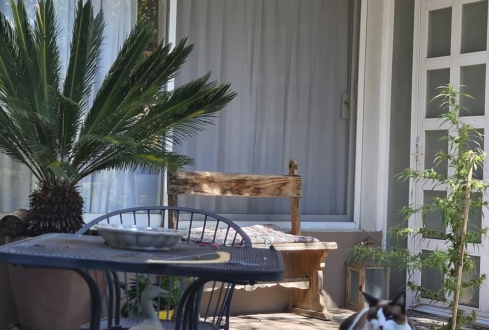 405660924_863846572411370_2693640474209060944_n