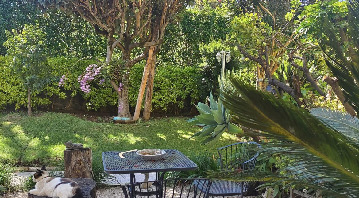 405677550_863850532410974_7198058758989513798_n