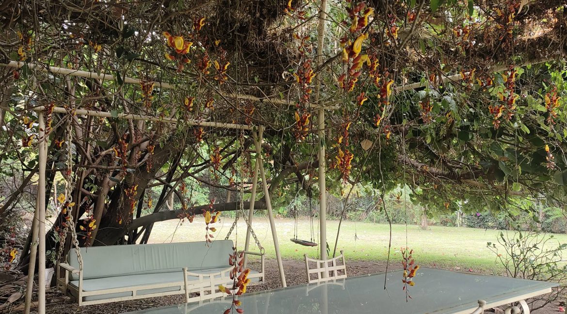 609014766_1522852589844095_5777914877170608834_n