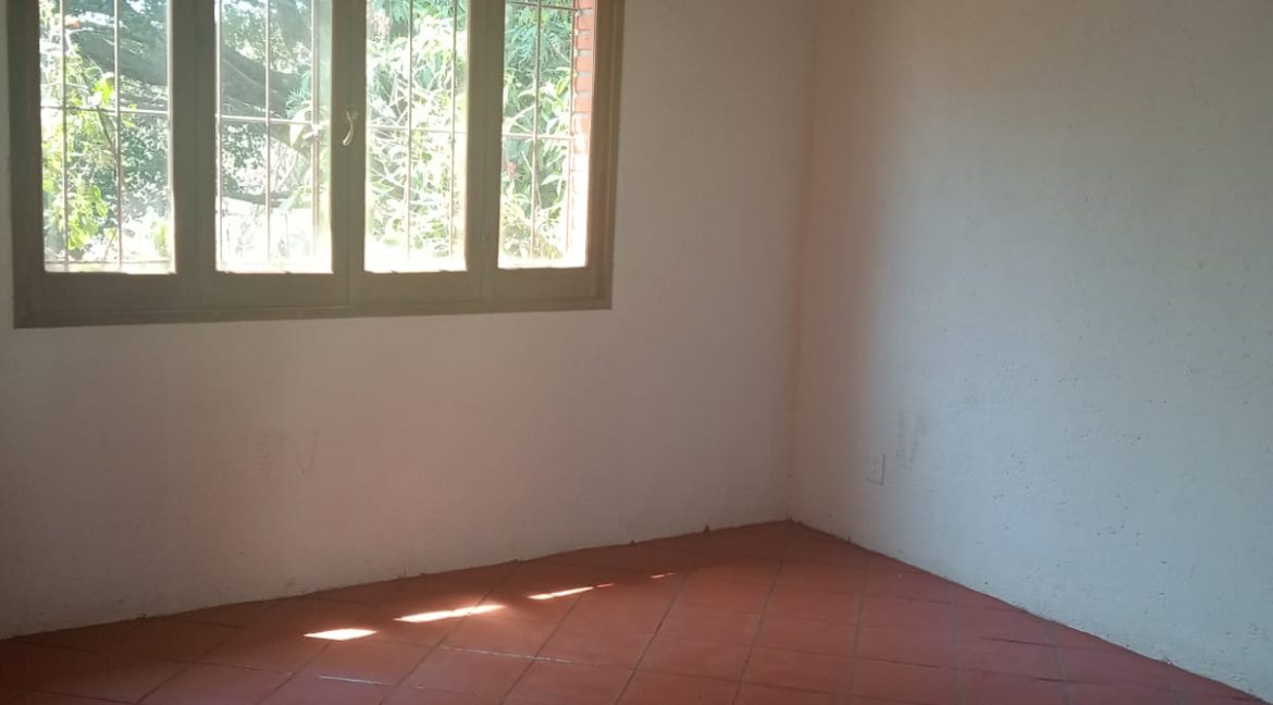 WhatsApp Image 2026-02-26 at 13.09.16