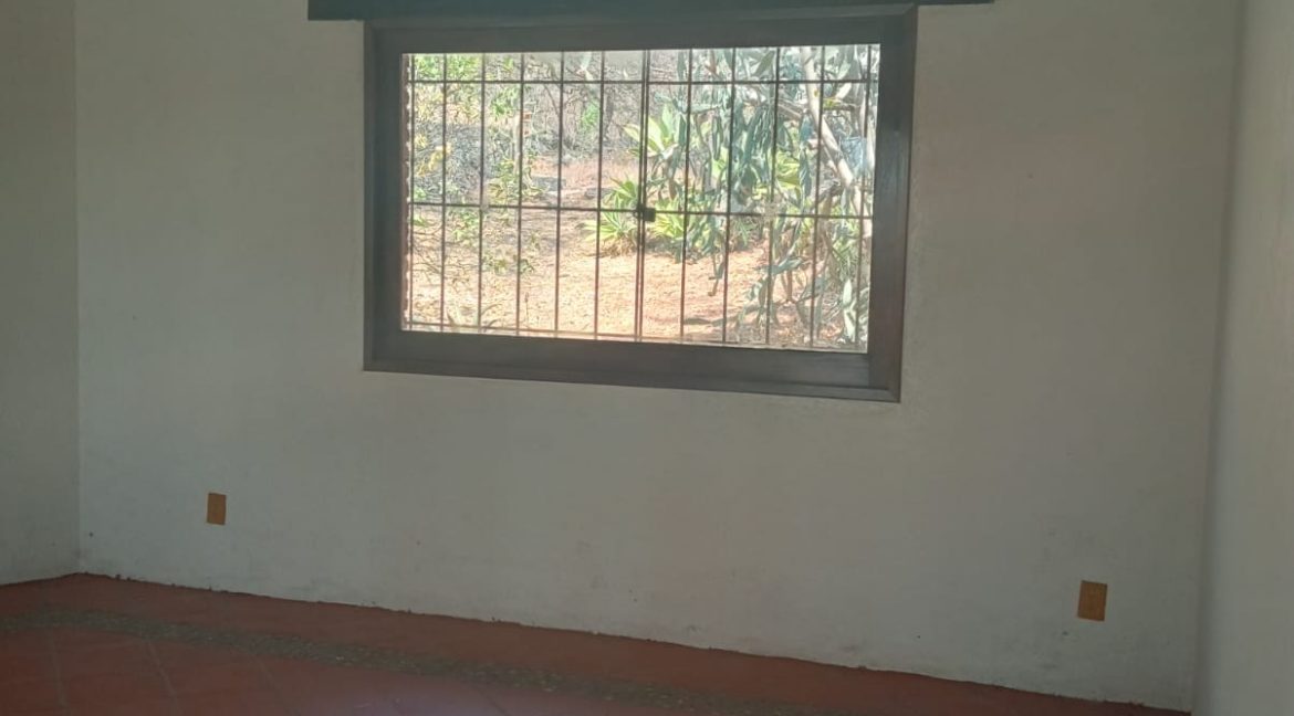 WhatsApp Image 2026-02-26 at 13.09.29 (1)