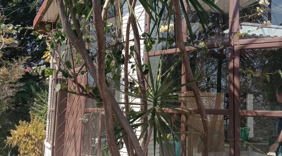 WhatsApp Image 2026-02-26 at 13.29.01 (1)