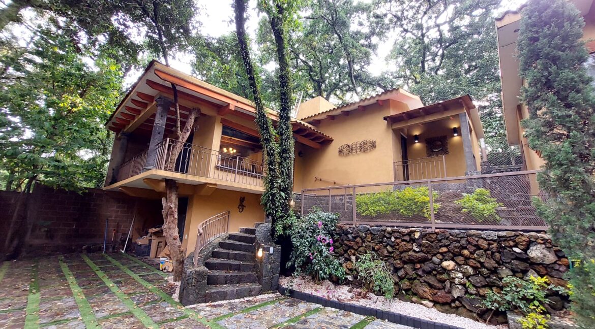 WhatsApp Image 2024-08-09 at 2.13.37 PM