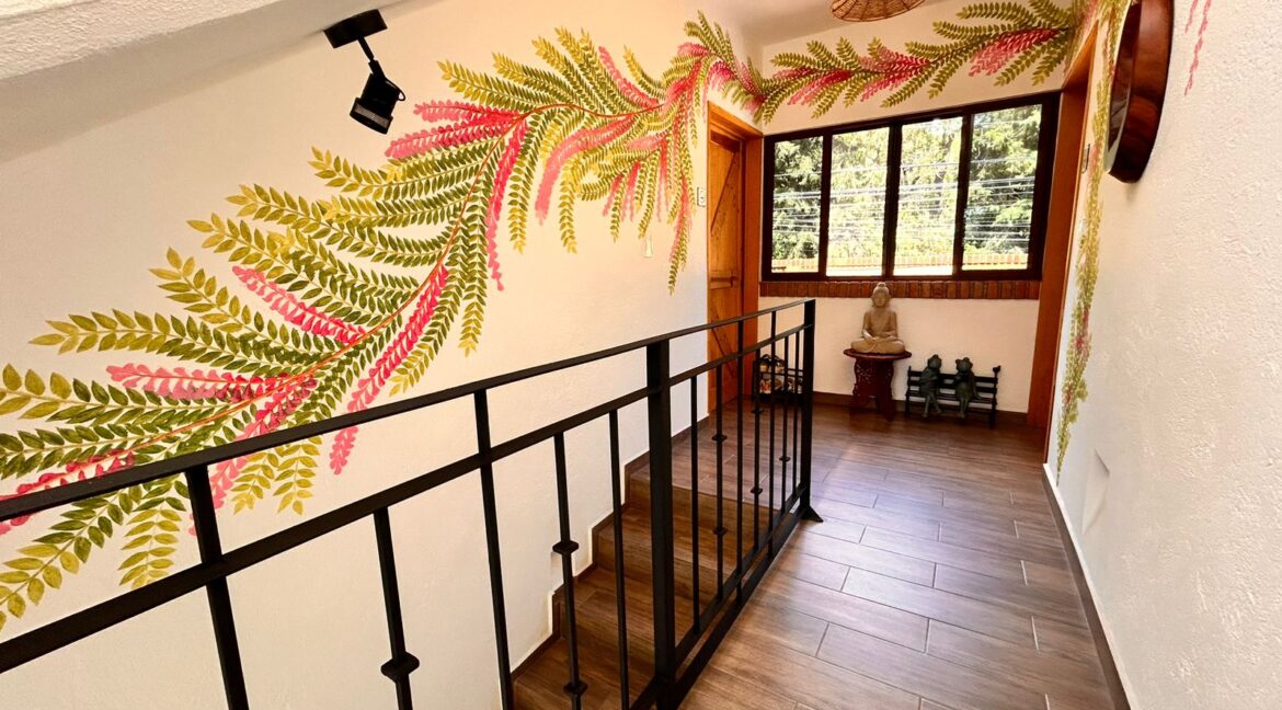 WhatsApp Image 2024-08-26 at 12.31.17 PM