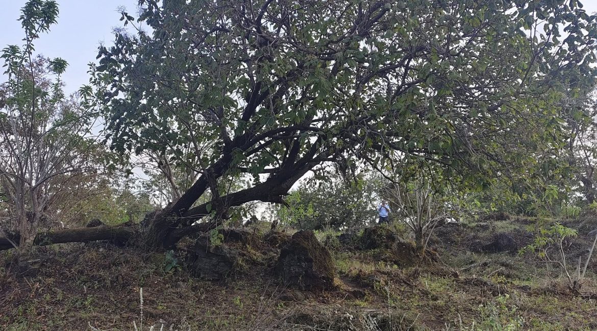 580590728_1480883237374364_1462525230201213502_n