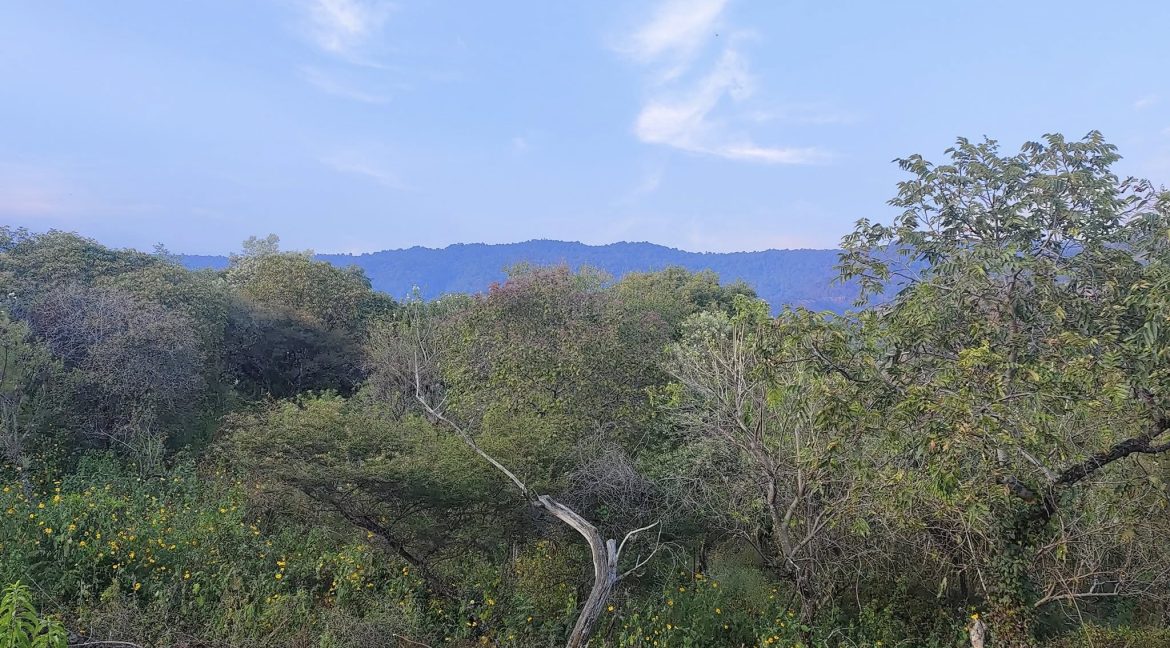 580816254_1480883407374347_6070773634714231698_n