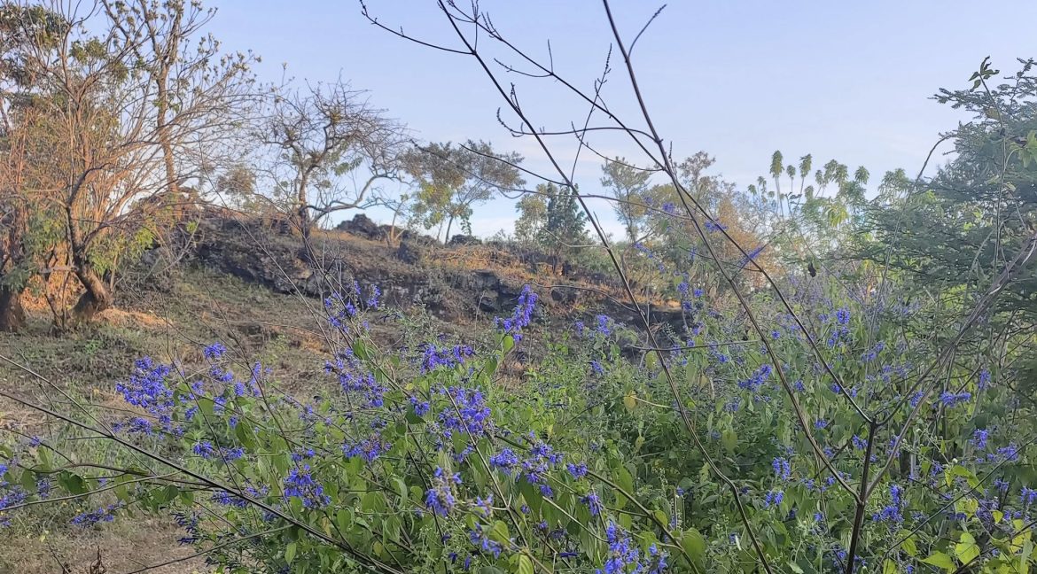 581132496_1480885094040845_2157706974313336543_n