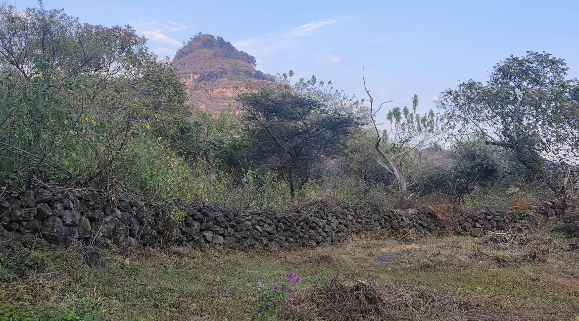 581804180_1480883184041036_1895169865433083023_n