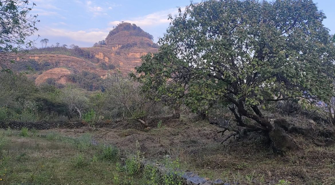 581863751_1480882777374410_8306736426446787911_n