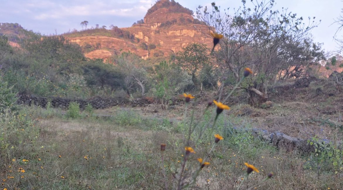 582483122_1480882637374424_1903908341174463775_n