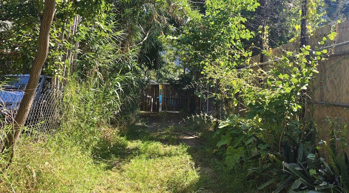 466965542_1135753501887341_8180267497929480293_n