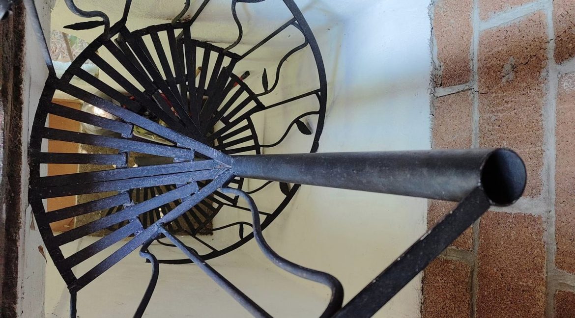 467149678_1135753435220681_4145689277840086316_n