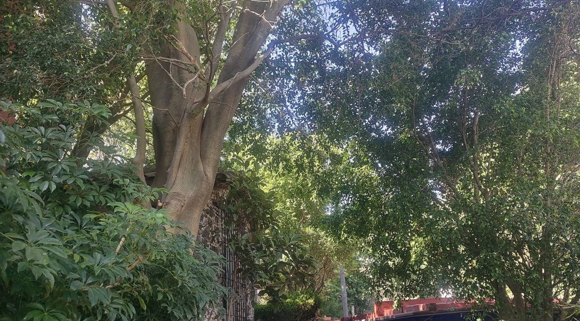 619824527_1543836297745724_9159153279816709197_n