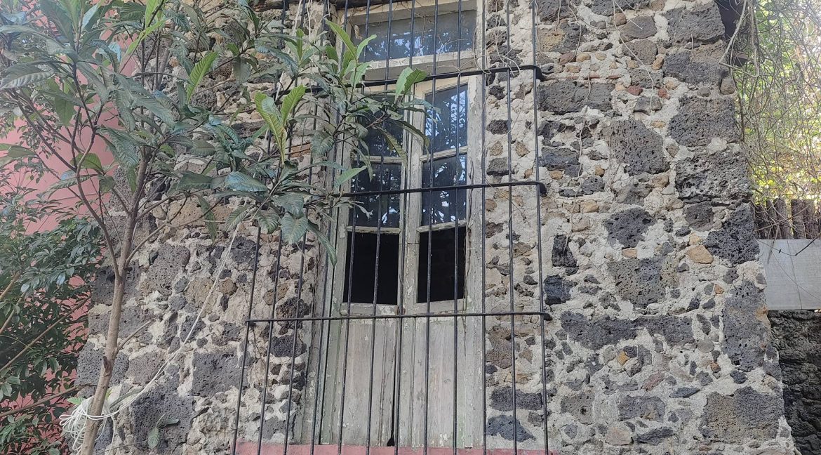 620100212_1543836071079080_7253869312572701626_n