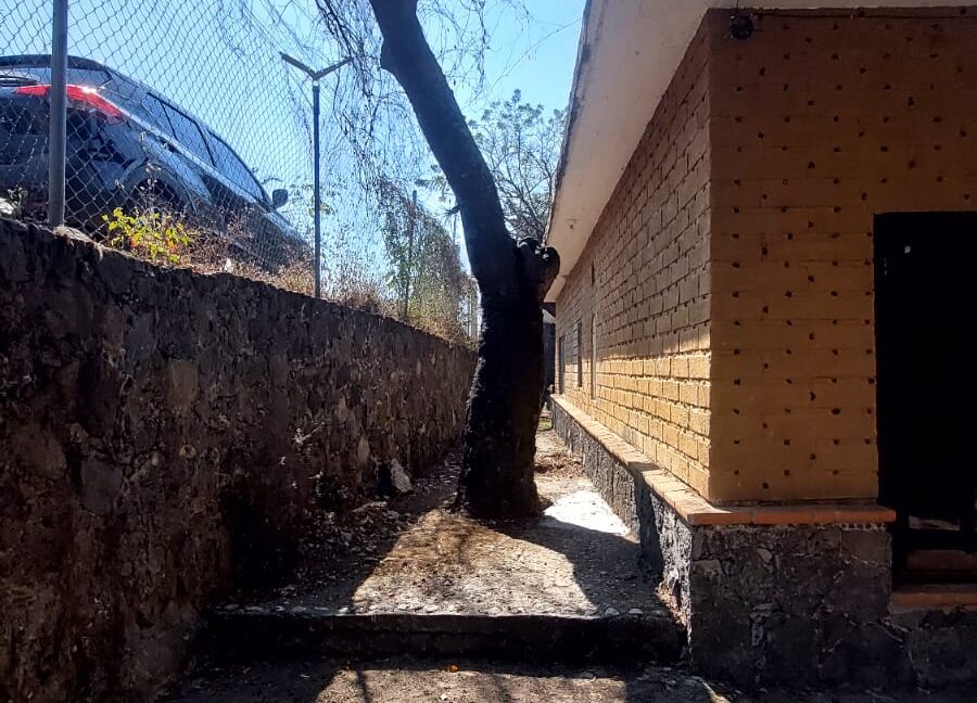 WhatsApp Image 2025-01-15 at 3.15.50 PM