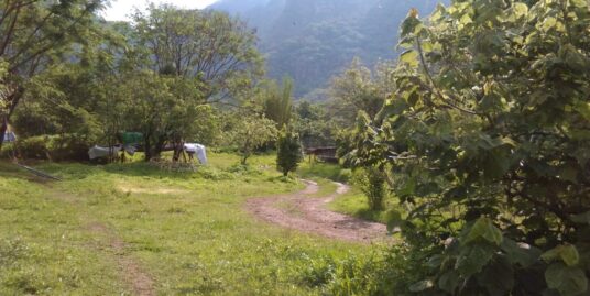 Terreno la Ceiba