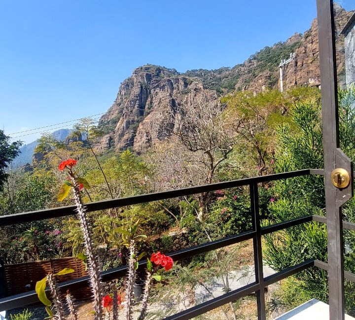 WhatsApp Image 2025-01-27 at 12.55.40 PM (1)