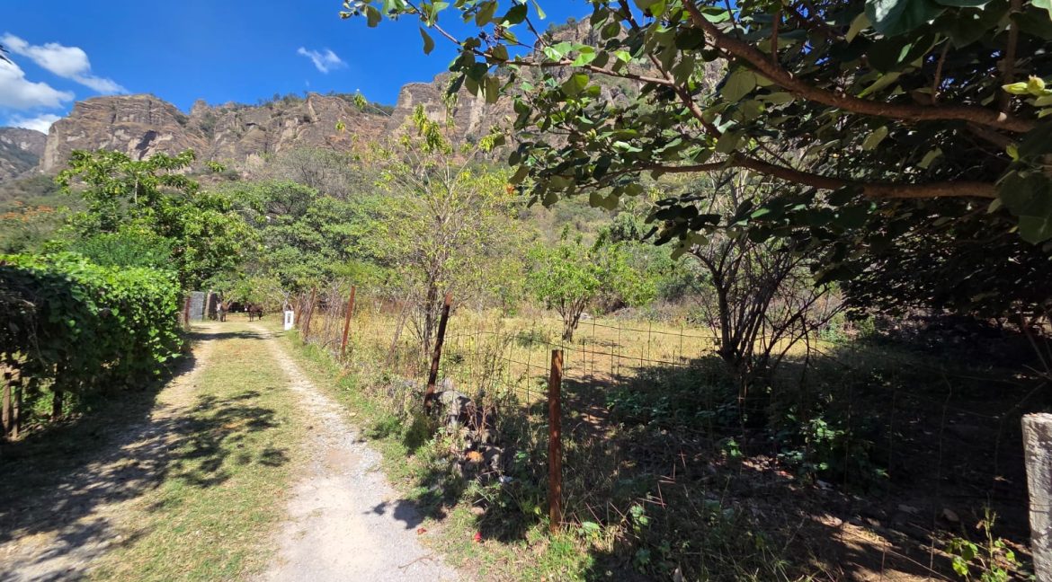 WhatsApp Image 2026-01-12 at 4.04.50 PM