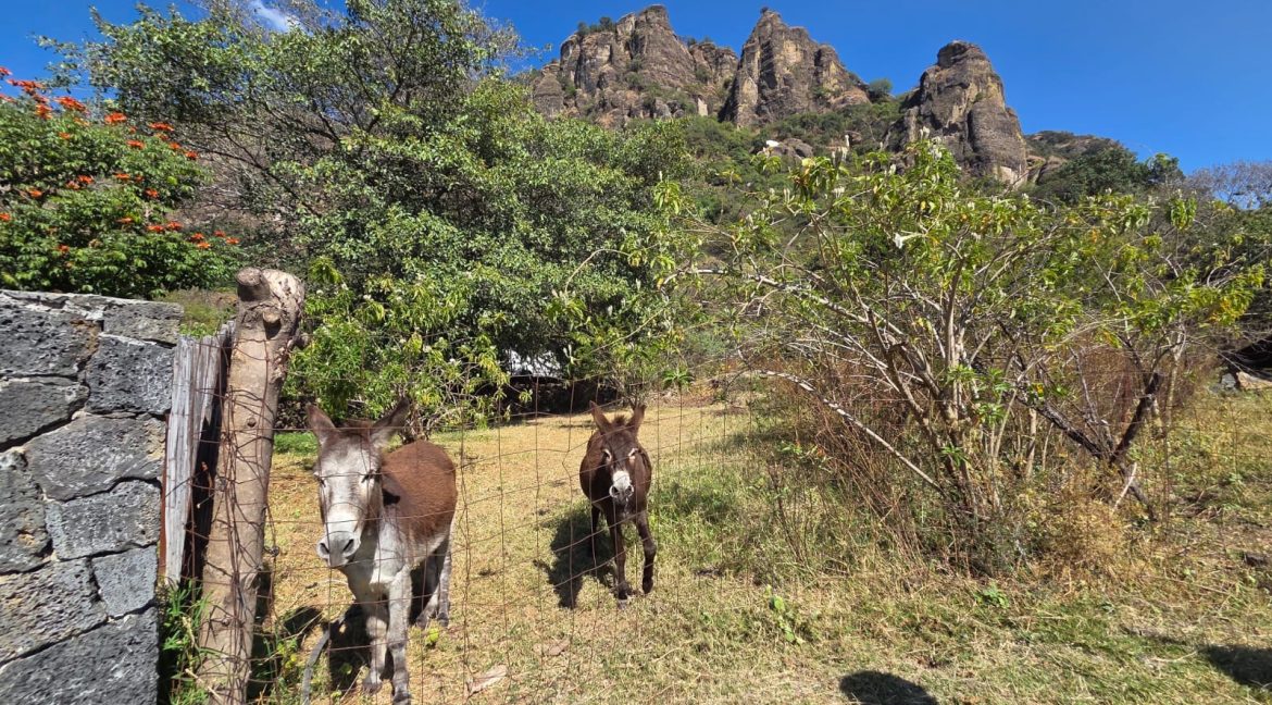 WhatsApp Image 2026-01-12 at 4.04.51 PM (1)