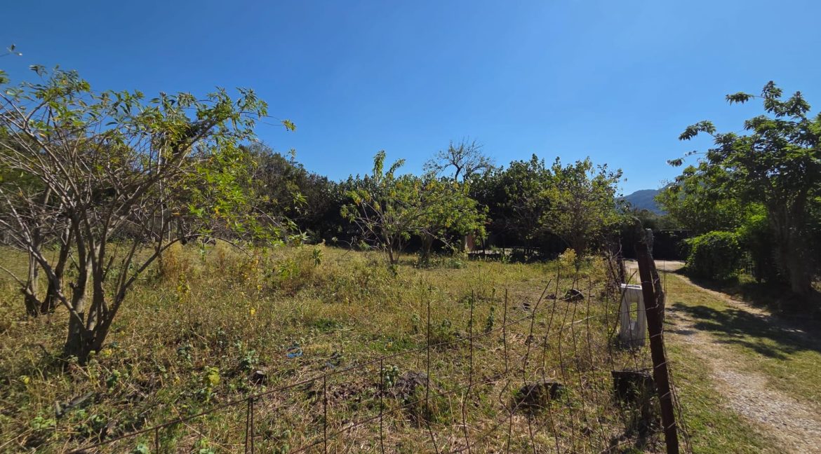 WhatsApp Image 2026-01-12 at 4.04.51 PM