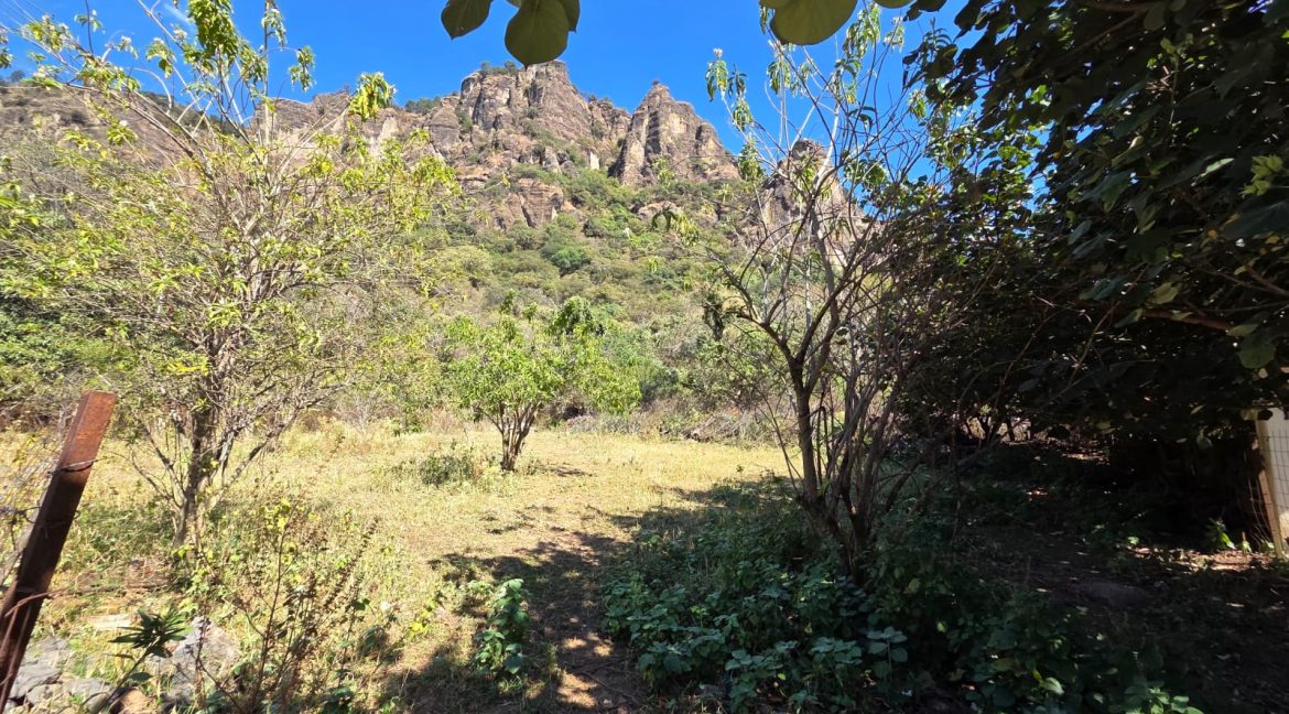 WhatsApp Image 2026-01-12 at 4.04.52 PM