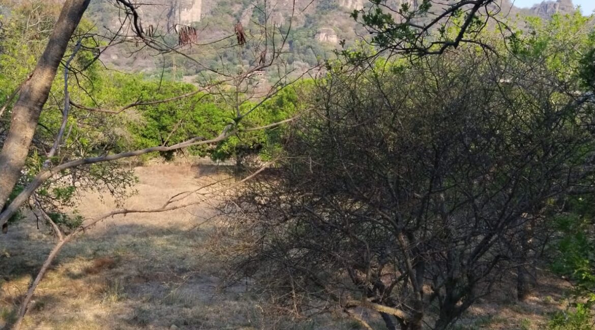 WhatsApp Image 2025-05-19 at 5.39.37 PM (2)