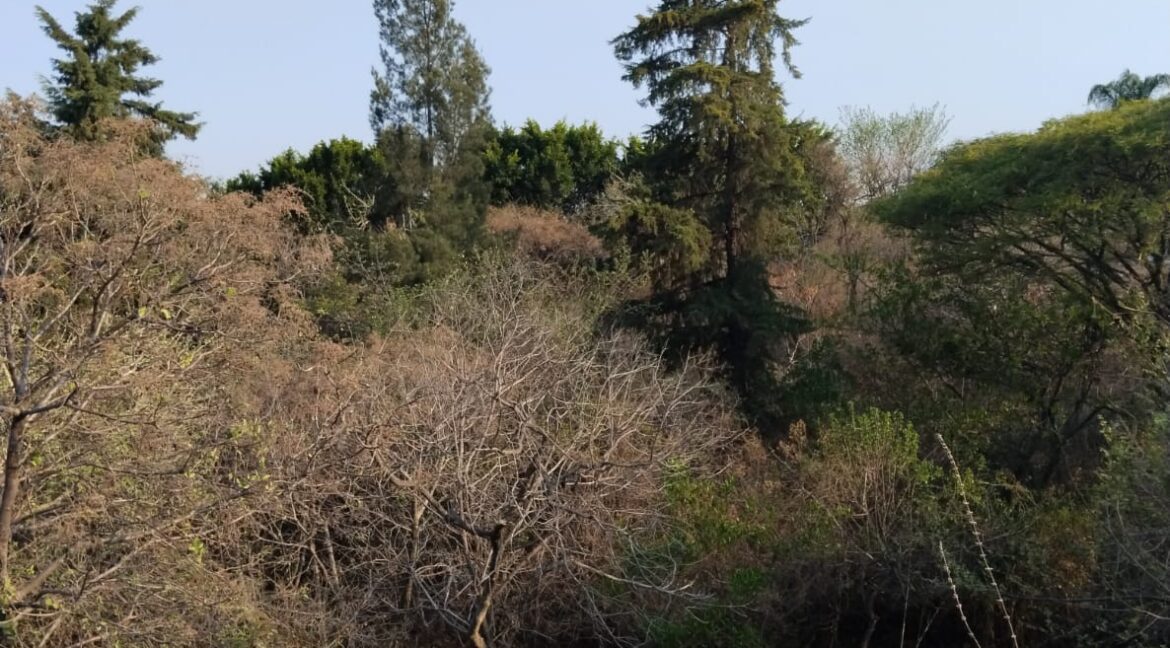 WhatsApp Image 2025-05-19 at 5.41.43 PM