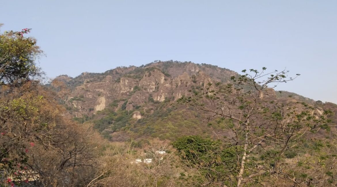 WhatsApp Image 2025-05-19 at 5.41.44 PM (1)