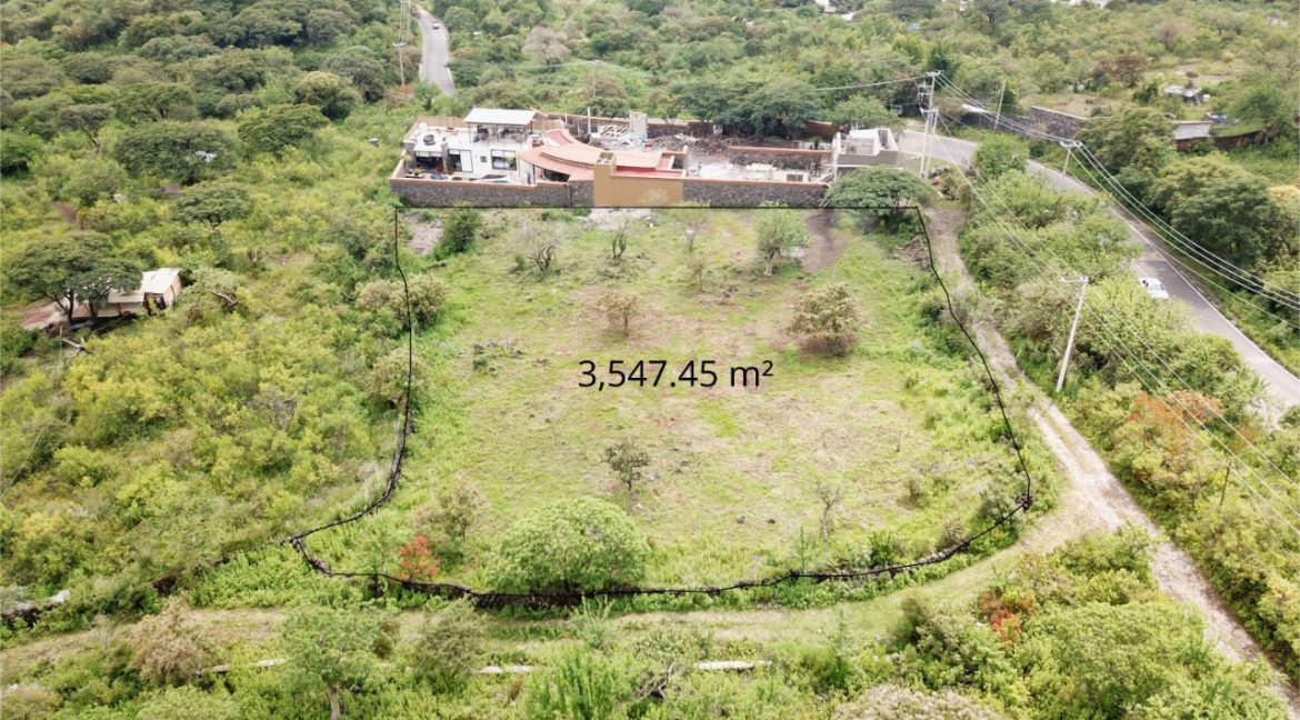 WhatsApp Image 2025-11-11 at 3.23.20 PM