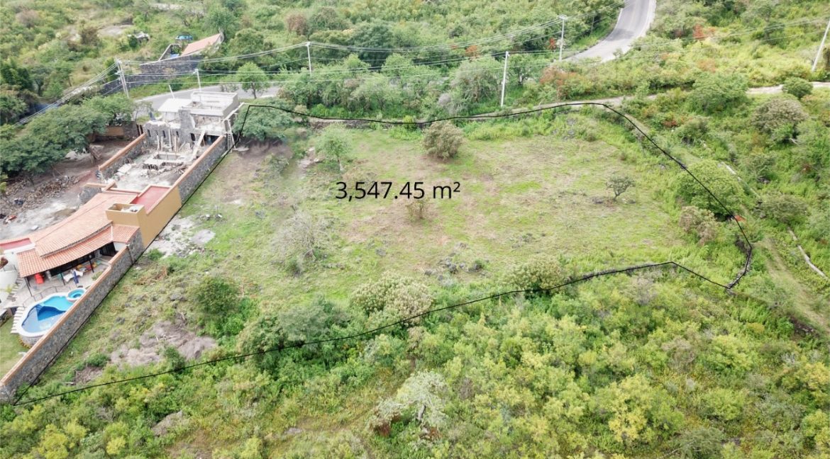 WhatsApp Image 2025-11-11 at 3.23.21 PM