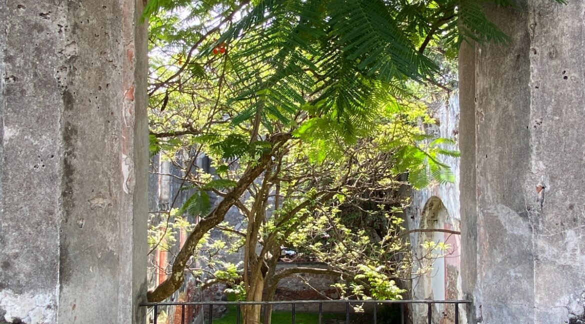 WhatsApp Image 2025-06-18 at 11.27.30 AM (3)