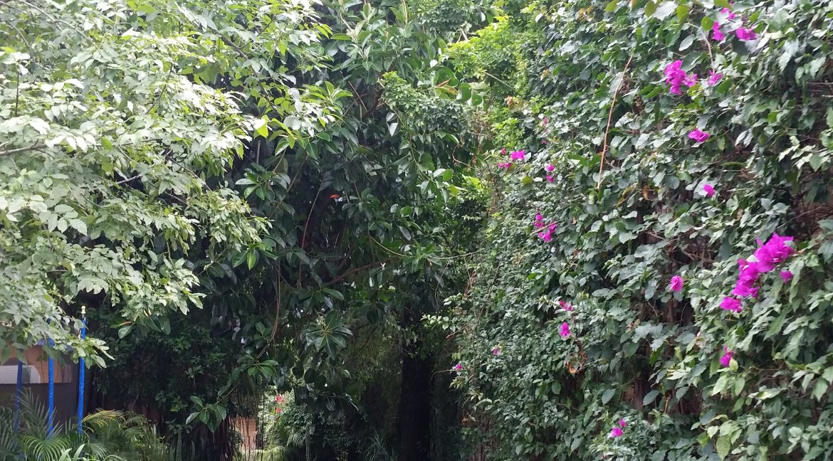 20150625_152116