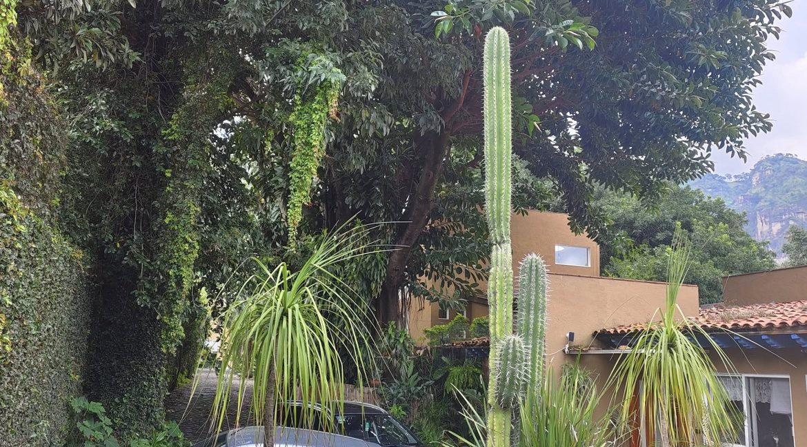 536253019_1395974075865281_731944520752432929_n