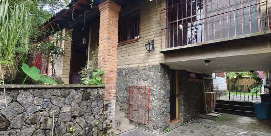 El Gran Amate de Amatlán