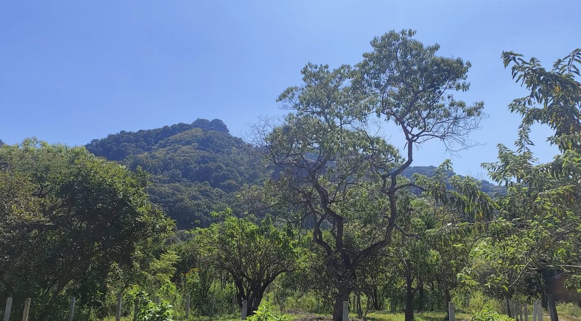 574620163_1472755164853838_4311943174495831322_n