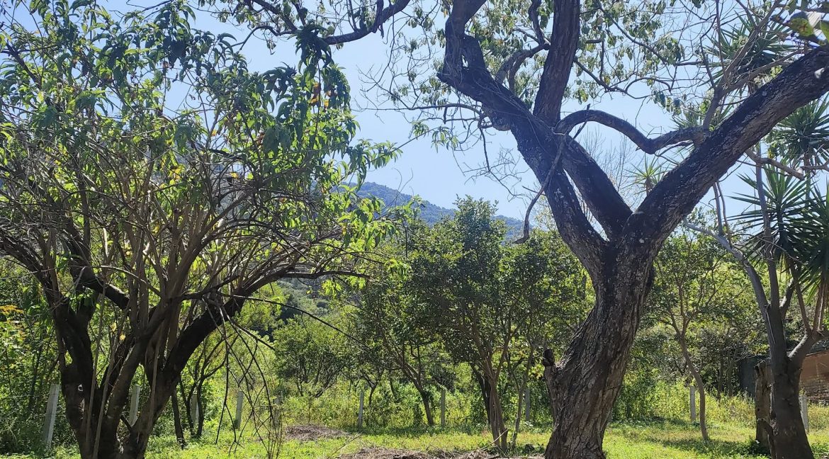 576306700_1472783298184358_4353664490220847874_n