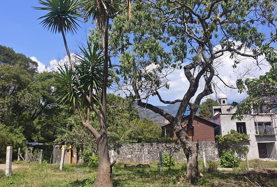 576914108_1472751071520914_5107243330361479820_n