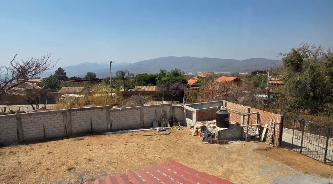 WhatsApp Image 2026-02-19 at 15.19.45 (1)