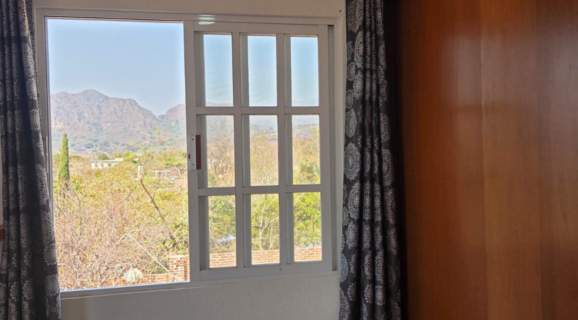 WhatsApp Image 2026-02-19 at 15.19.45