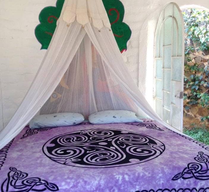 569061510_1457567909705897_8317347385349989474_n