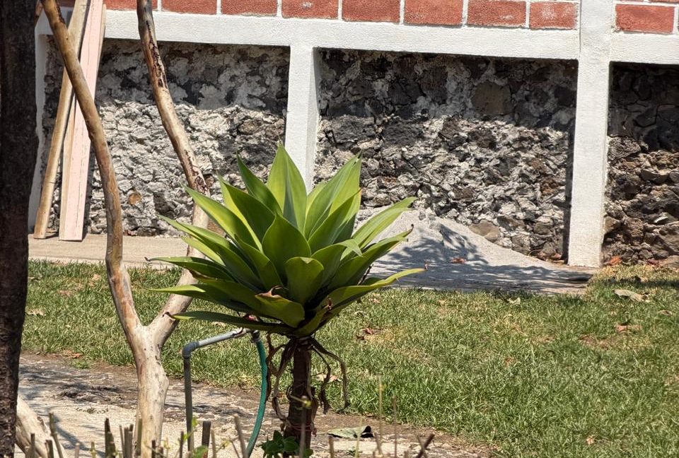 WhatsApp Image 2026-03-17 at 14.37.05 (3)