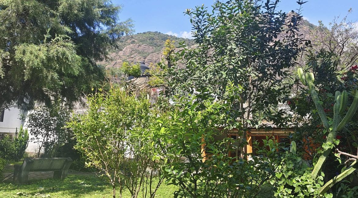 581931561_1481086620687359_8187232498554849951_n