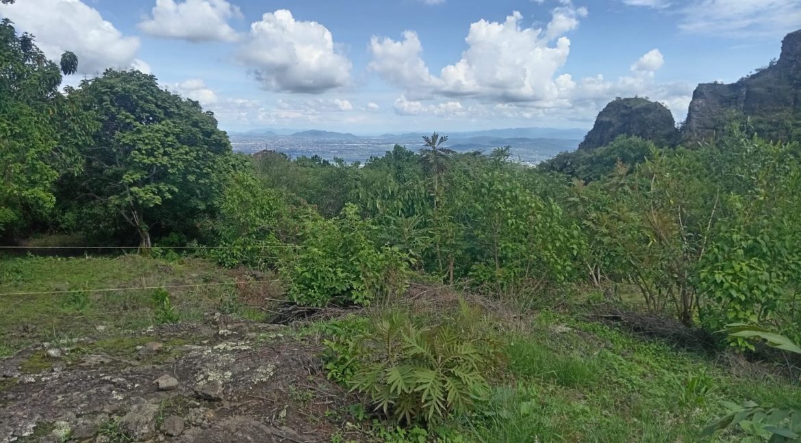 08f3200e-a58c-463d-b50e-0de69bda20b3