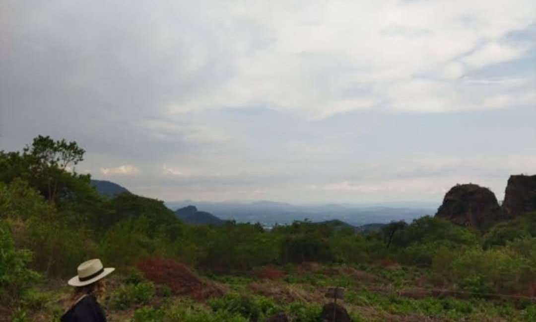 54e956da-ec2e-463a-813d-60c1eca2ab47