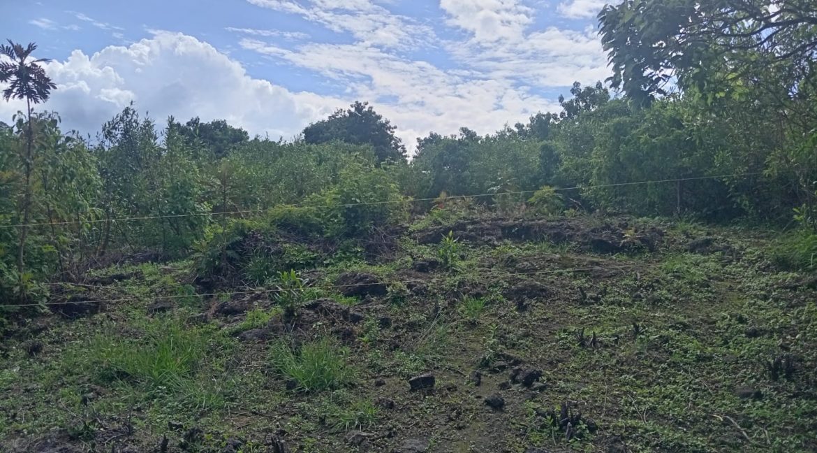 59ffaa76-9dff-4996-9445-e99865f53ebe