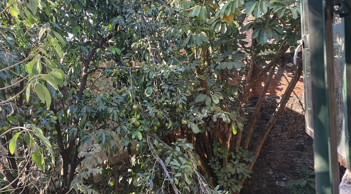 631650784_1565314918931195_6520032606518508949_n